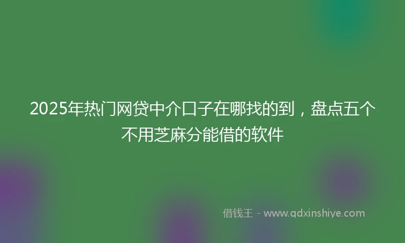 2025年热门网贷中介口子在哪找的到，盘点五个不用芝麻分能借的软件
