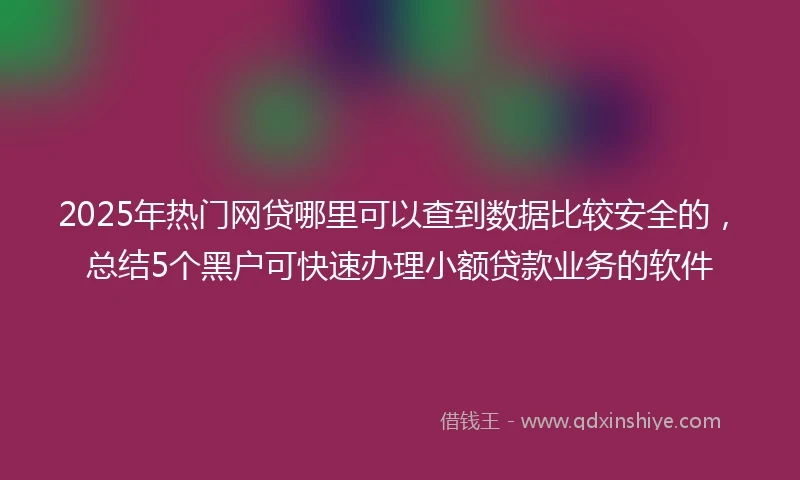 2025年热门网贷哪里可以查到数据比较安全的，总结5个黑户可快速办理小额贷款业务的软件