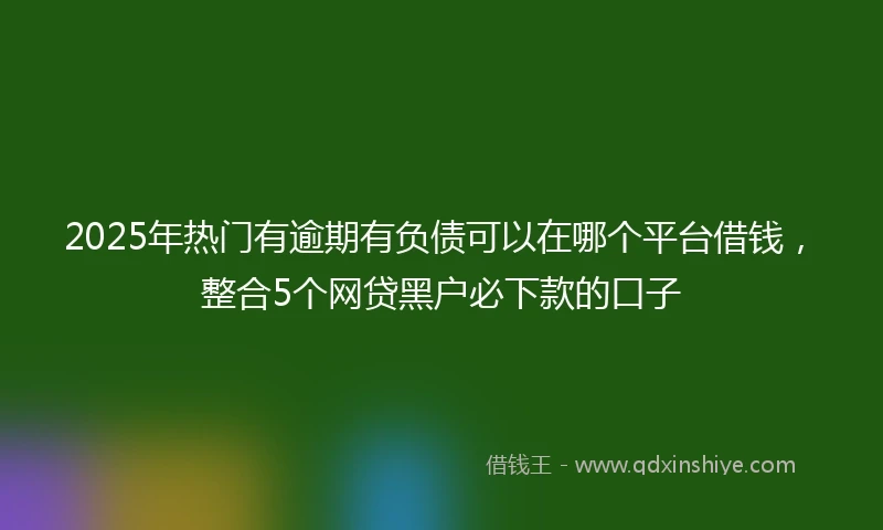 2025年热门有逾期有负债可以在哪个平台借钱，整合5个网贷黑户必下款的口子