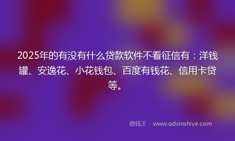 2025年的有没有什么贷款软件不看征信有:洋钱罐、安逸花、小花钱包、百度有钱花、信用卡贷等。
