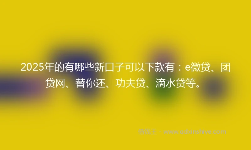 2025年的有哪些新口子可以下款有：e微贷、团贷网、替你还、功夫贷、滴水贷等。