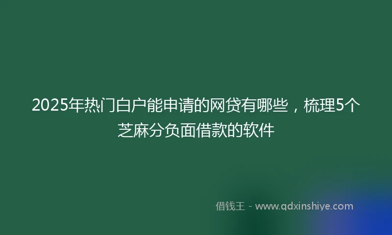 2025年热门白户能申请的网贷有哪些，梳理5个芝麻分负面借款的软件