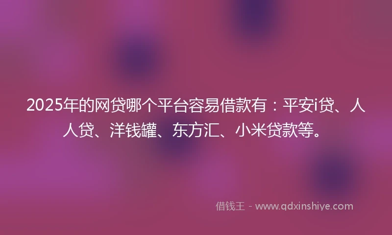 2025年的网贷哪个平台容易借款有：平安i贷、人人贷、洋钱罐、东方汇、小米贷款等。