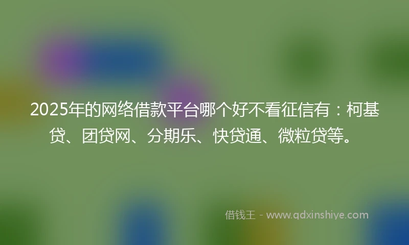 2025年的网络借款平台哪个好不看征信有：柯基贷、团贷网、分期乐、快贷通、微粒贷等。