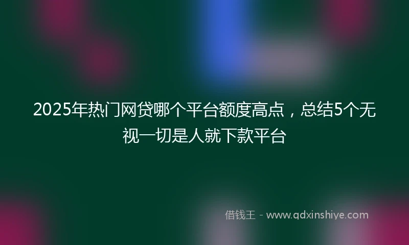 2025年热门网贷哪个平台额度高点，总结5个无视一切是人就下款平台