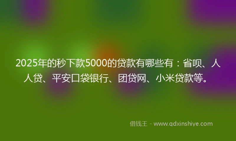 2025年的秒下款5000的贷款有哪些有：省呗、人人贷、平安口袋银行、团贷网、小米贷款等。