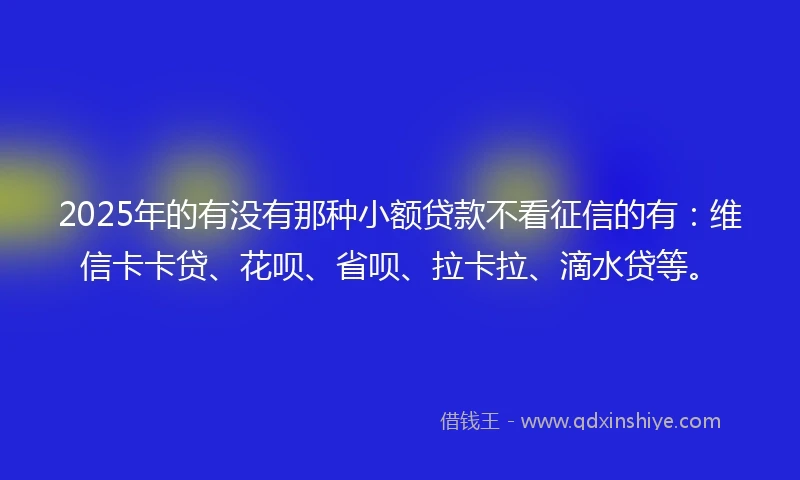 2025年的有没有那种小额贷款不看征信的有：维信卡卡贷、花呗、省呗、拉卡拉、滴水贷等。