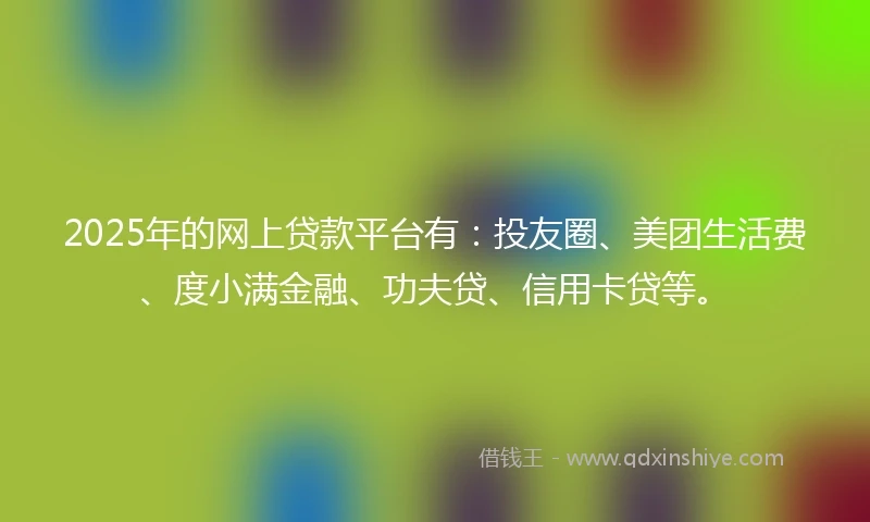 2025年的网上贷款平台有：投友圈、美团生活费、度小满金融、功夫贷、信用卡贷等。