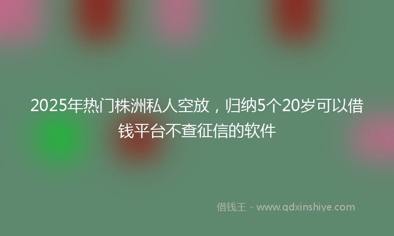 2025年热门株洲私人空放，归纳5个20岁可以借钱平台不查征信的软件