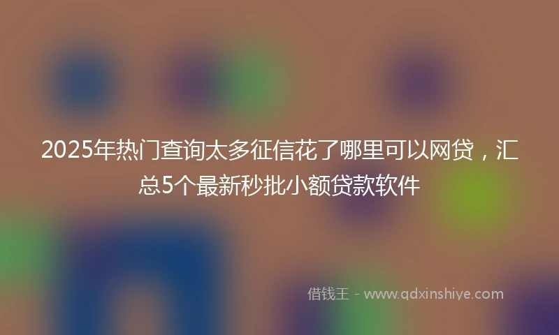 2025年热门查询太多征信花了哪里可以网贷，汇总5个最新秒批小额贷款软件
