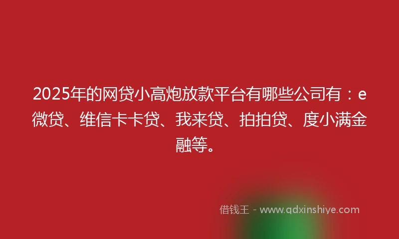 2025年的网贷小高炮放款平台有哪些公司有：e微贷、维信卡卡贷、我来贷、拍拍贷、度小满金融等。