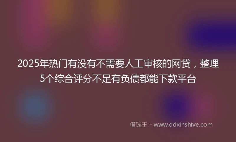 2025年热门有没有不需要人工审核的网贷，整理5个综合评分不足有负债都能下款平台