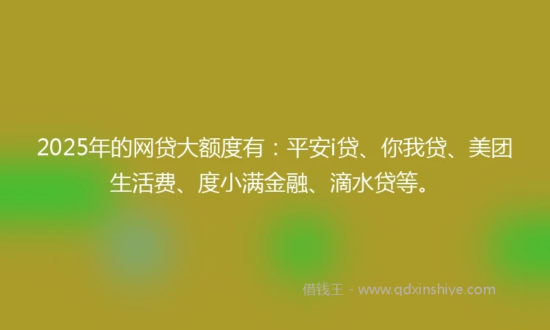 2025年的网贷大额度有：平安i贷、你我贷、美团生活费、度小满金融、滴水贷等。