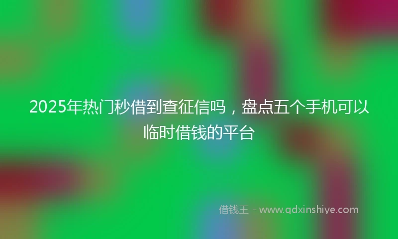 2025年热门秒借到查征信吗，盘点五个手机可以临时借钱的平台