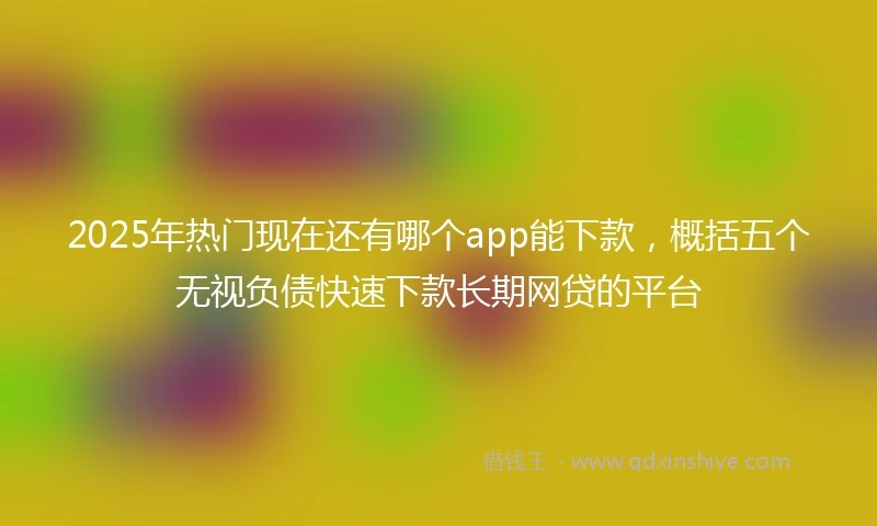 2025年热门现在还有哪个app能下款，概括五个无视负债快速下款长期网贷的平台