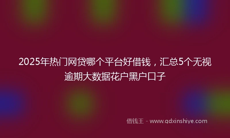 2025年热门网贷哪个平台好借钱，汇总5个无视逾期大数据花户黑户口子