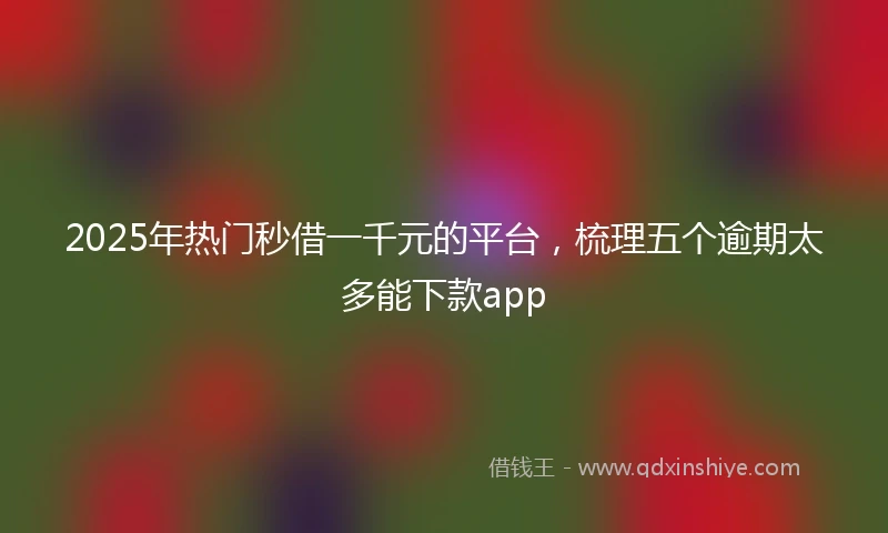 2025年热门秒借一千元的平台，梳理五个逾期太多能下款app