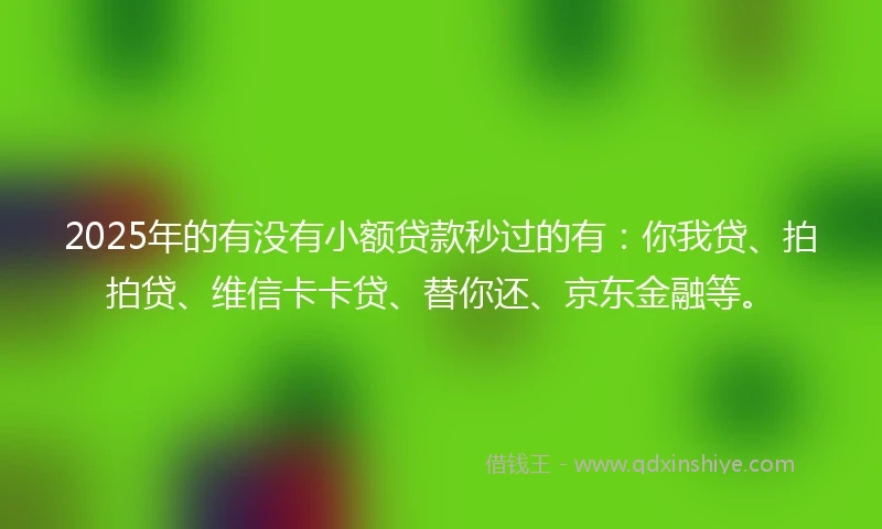 2025年的有没有小额贷款秒过的有：你我贷、拍拍贷、维信卡卡贷、替你还、京东金融等。