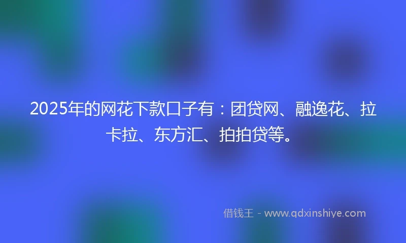 2025年的网花下款口子有：团贷网、融逸花、拉卡拉、东方汇、拍拍贷等。