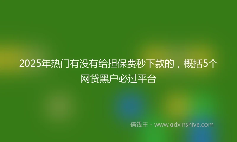 2025年热门有没有给担保费秒下款的，概括5个网贷黑户必过平台