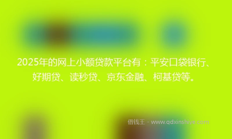2025年的网上小额贷款平台有：平安口袋银行、好期贷、读秒贷、京东金融、柯基贷等。