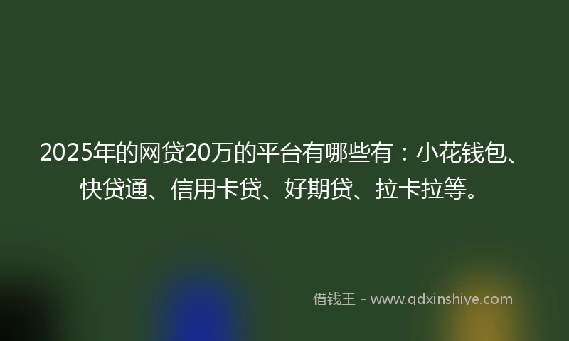 2025年的网贷20万的平台有哪些有：小花钱包、快贷通、信用卡贷、好期贷、拉卡拉等。