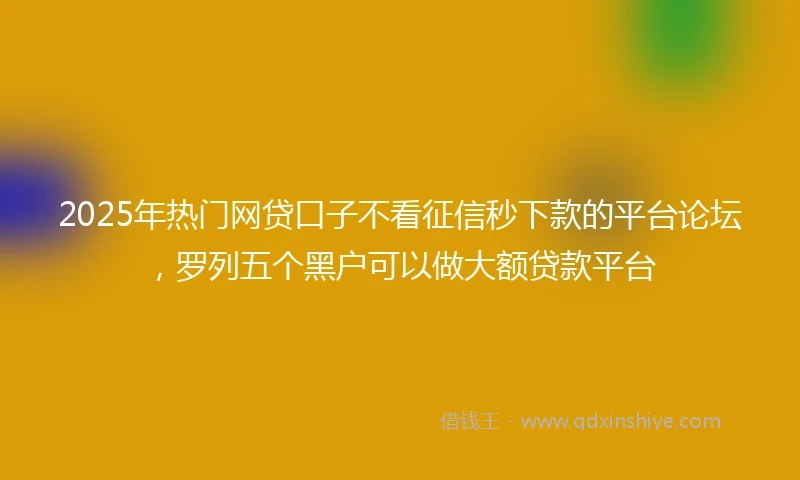 2025年热门网贷口子不看征信秒下款的平台论坛，罗列五个黑户可以做大额贷款平台