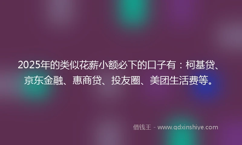2025年的类似花薪小额必下的口子有：柯基贷、京东金融、惠商贷、投友圈、美团生活费等。