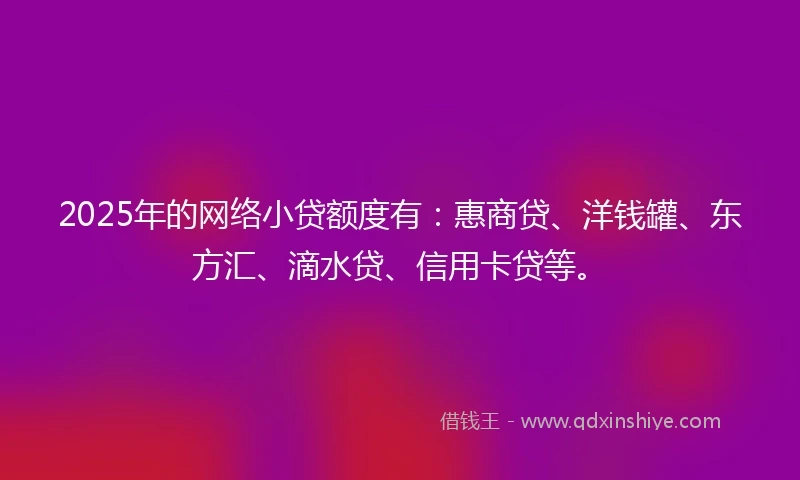 2025年的网络小贷额度有：惠商贷、洋钱罐、东方汇、滴水贷、信用卡贷等。