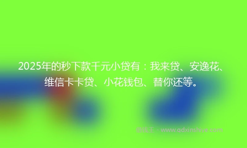 2025年的秒下款千元小贷有：我来贷、安逸花、维信卡卡贷、小花钱包、替你还等。