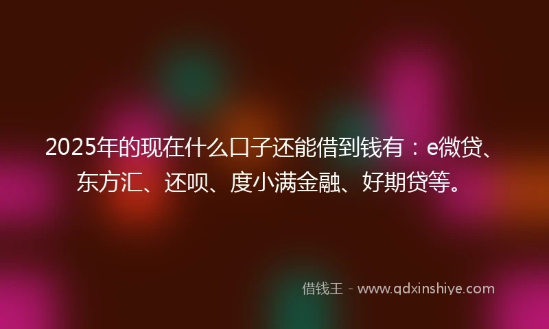 2025年的现在什么口子还能借到钱有：e微贷、东方汇、还呗、度小满金融、好期贷等。