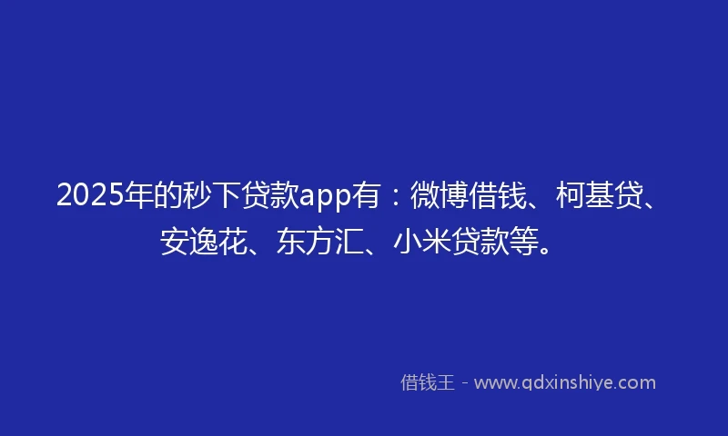 2025年的秒下贷款app有：微博借钱、柯基贷、安逸花、东方汇、小米贷款等。