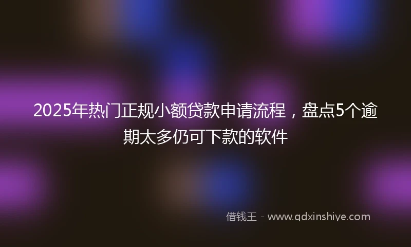 2025年热门正规小额贷款申请流程，盘点5个逾期太多仍可下款的软件