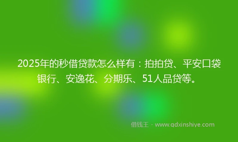 2025年的秒借贷款怎么样有：拍拍贷、平安口袋银行、安逸花、分期乐、51人品贷等。