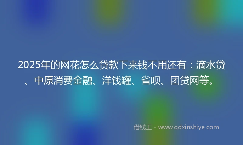 2025年的网花怎么贷款下来钱不用还有：滴水贷、中原消费金融、洋钱罐、省呗、团贷网等。