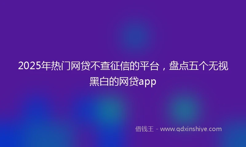 2025年热门网贷不查征信的平台，盘点五个无视黑白的网贷app