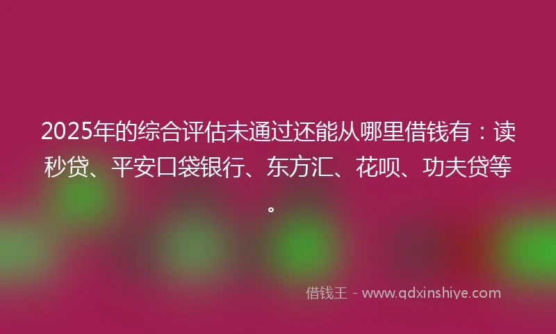 2025年的综合评估未通过还能从哪里借钱有：读秒贷、平安口袋银行、东方汇、花呗、功夫贷等。