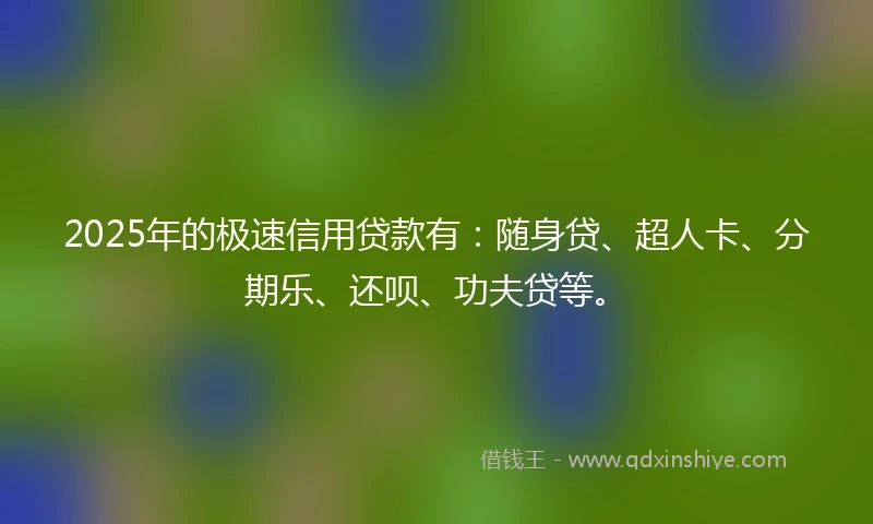 2025年的极速信用贷款有：随身贷、超人卡、分期乐、还呗、功夫贷等。