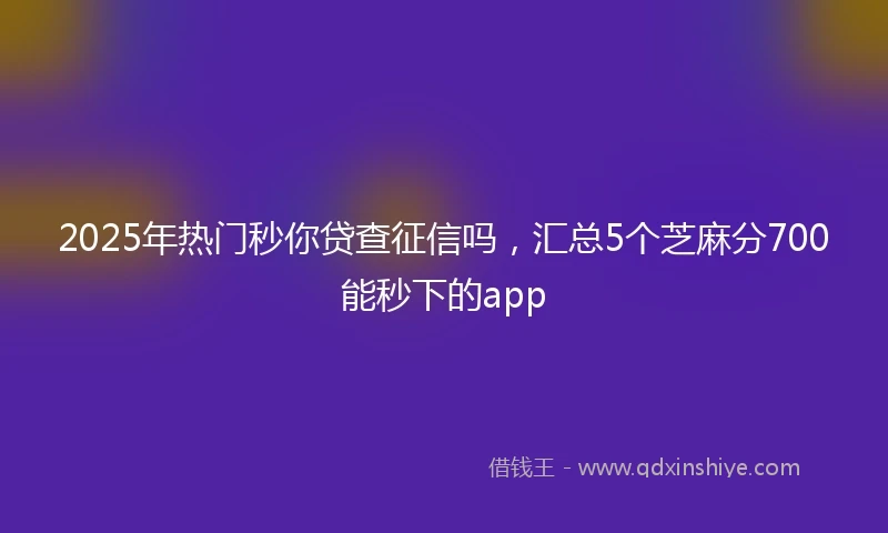 2025年热门秒你贷查征信吗，汇总5个芝麻分700能秒下的app