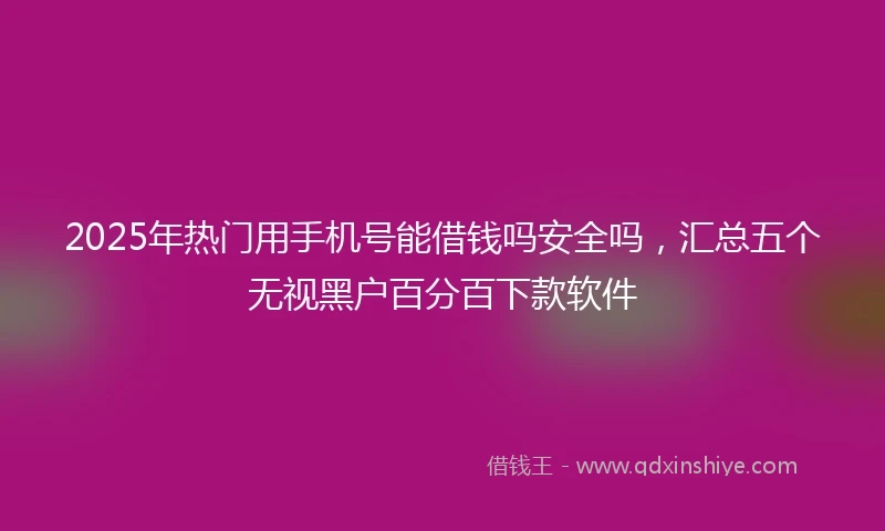 2025年热门用手机号能借钱吗安全吗，汇总五个无视黑户百分百下款软件