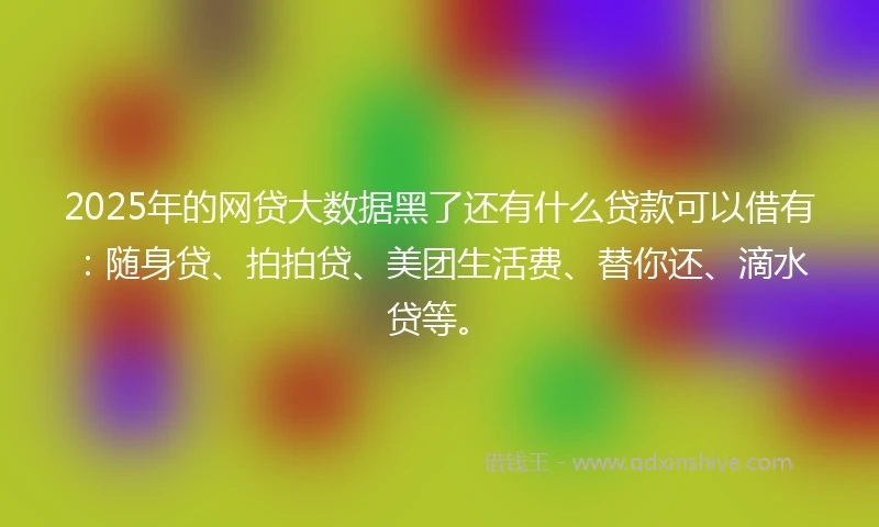 2025年的网贷大数据黑了还有什么贷款可以借有:随身贷、拍拍贷、美团生活费、替你还、滴水贷等。