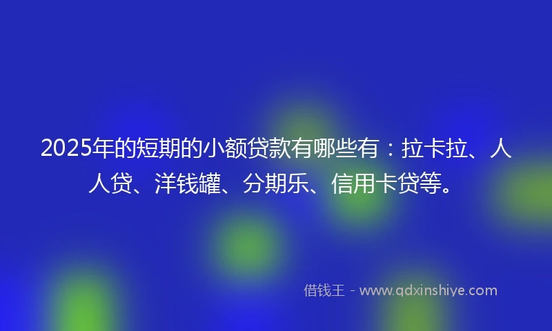 2025年的短期的小额贷款有哪些有：拉卡拉、人人贷、洋钱罐、分期乐、信用卡贷等。