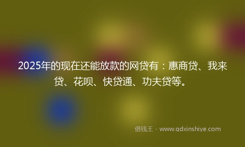 2025年的现在还能放款的网贷有：惠商贷、我来贷、花呗、快贷通、功夫贷等。