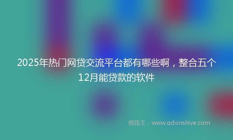 2025年热门网贷交流平台都有哪些啊，整合五个12月能贷款的软件