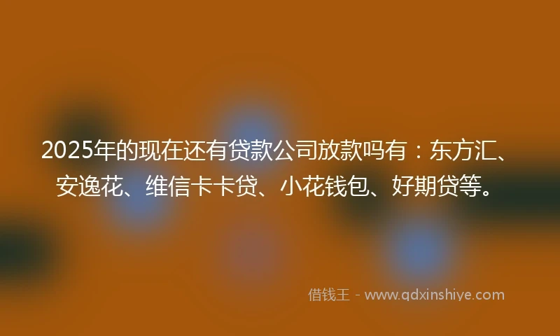 2025年的现在还有贷款公司放款吗有：东方汇、安逸花、维信卡卡贷、小花钱包、好期贷等。