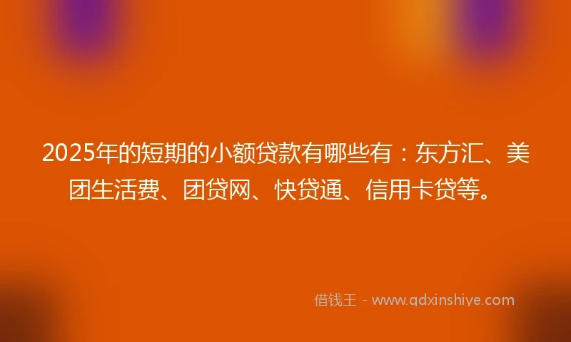 2025年的短期的小额贷款有哪些有：东方汇、美团生活费、团贷网、快贷通、信用卡贷等。