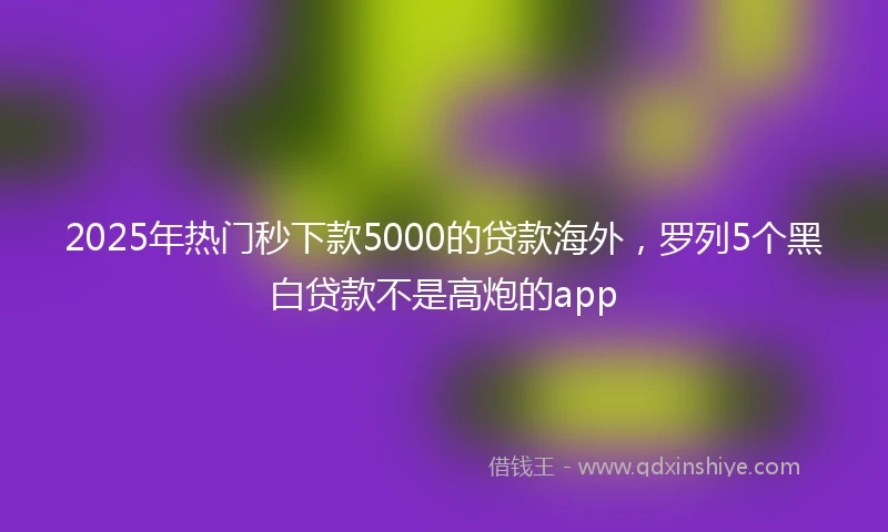 2025年热门秒下款5000的贷款海外，罗列5个黑白贷款不是高炮的app