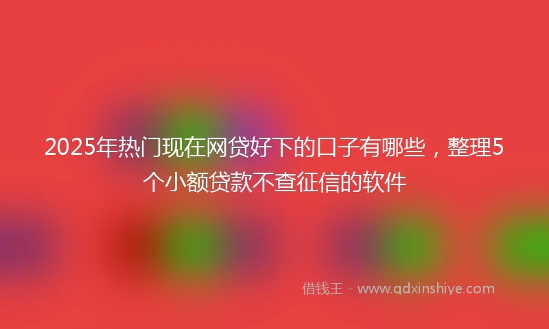 2025年热门现在网贷好下的口子有哪些，整理5个小额贷款不查征信的软件