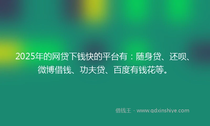2025年的网贷下钱快的平台有：随身贷、还呗、微博借钱、功夫贷、百度有钱花等。