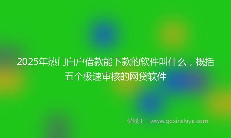 2025年热门白户借款能下款的软件叫什么，概括五个极速审核的网贷软件